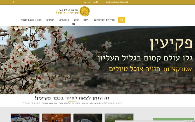 צילום מסך של אתר פקיעין